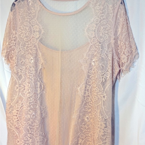 Worthington Blush Lace Chiffon Blouse XL - Picture 1 of 5